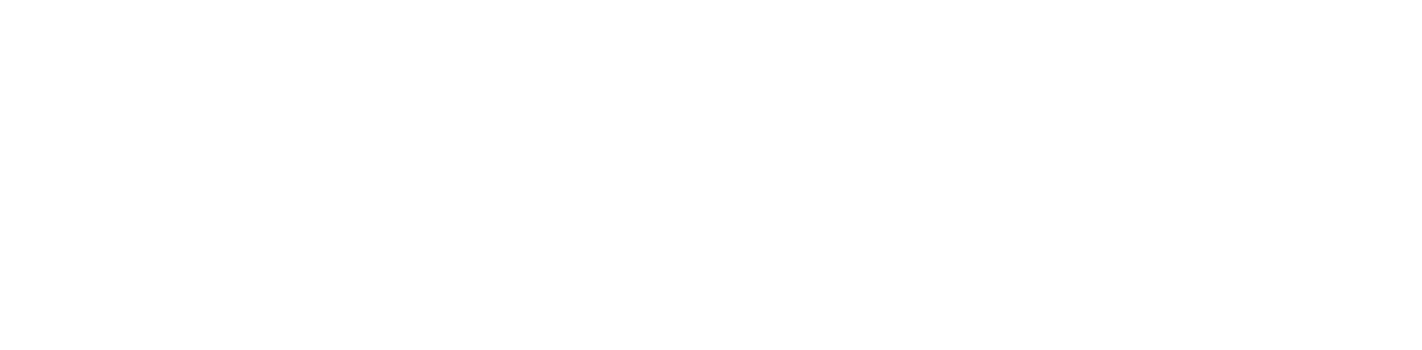 Fusion Frame Logo WHITE-01